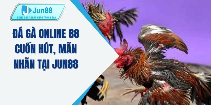 Đá gà online 88 cuốn hút, mãn nhãn tại JUN88