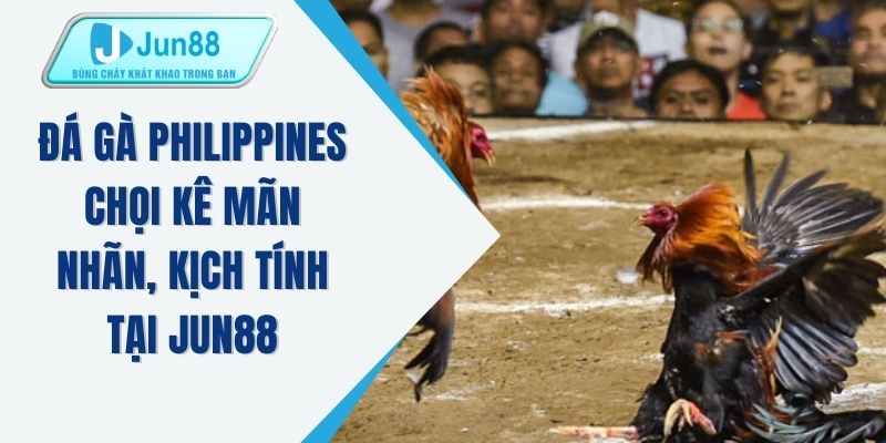 Đá gà Philippines