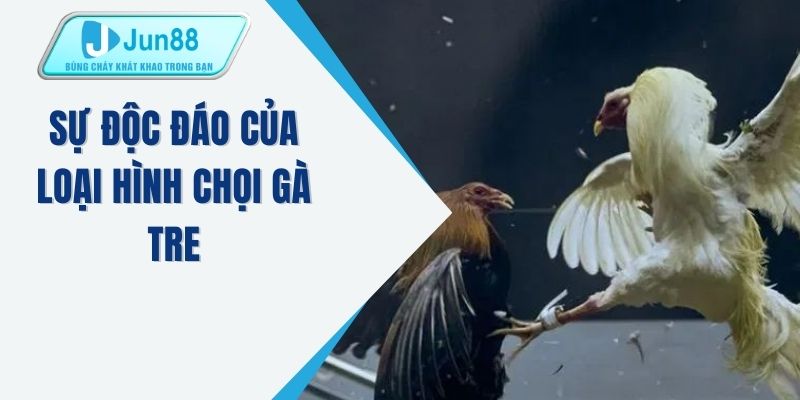 Sự độc đáo của loại hình chọi gà tre